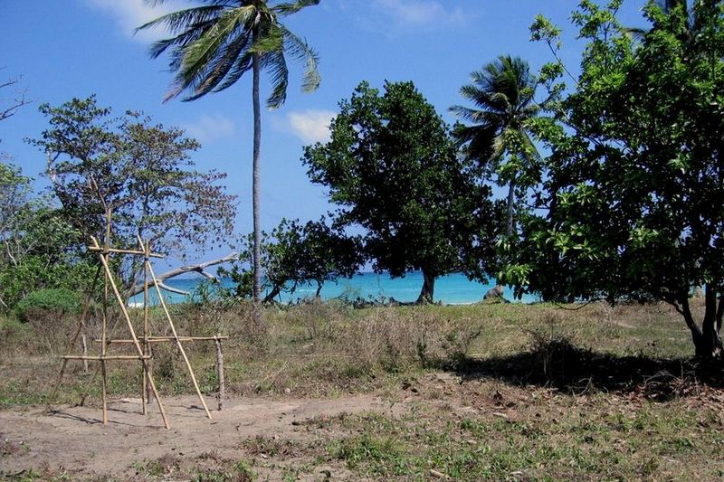 Kohtang Viet Nam Joint POW MIA Command Dig at Koh Tang